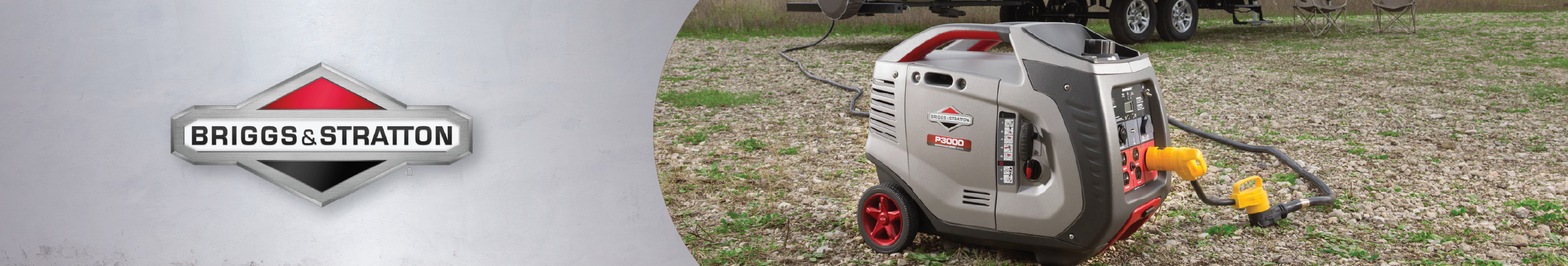 Picture for category Briggs & Stratton